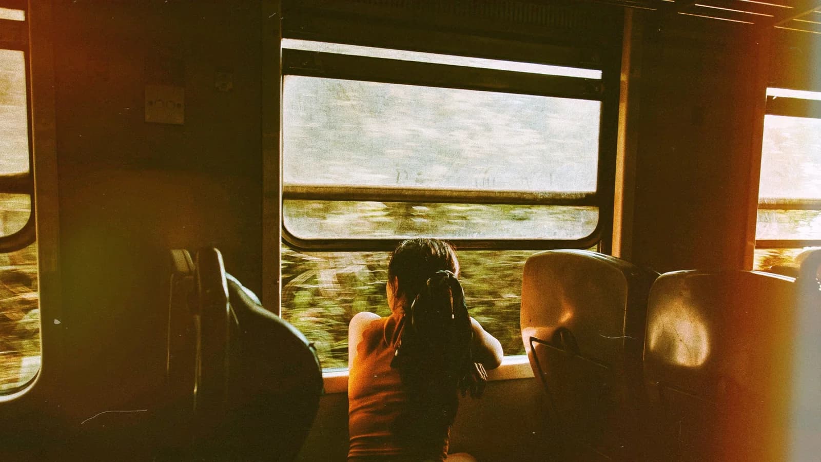 A passenger seen from behind watching a sunlit landscape blur past a train window